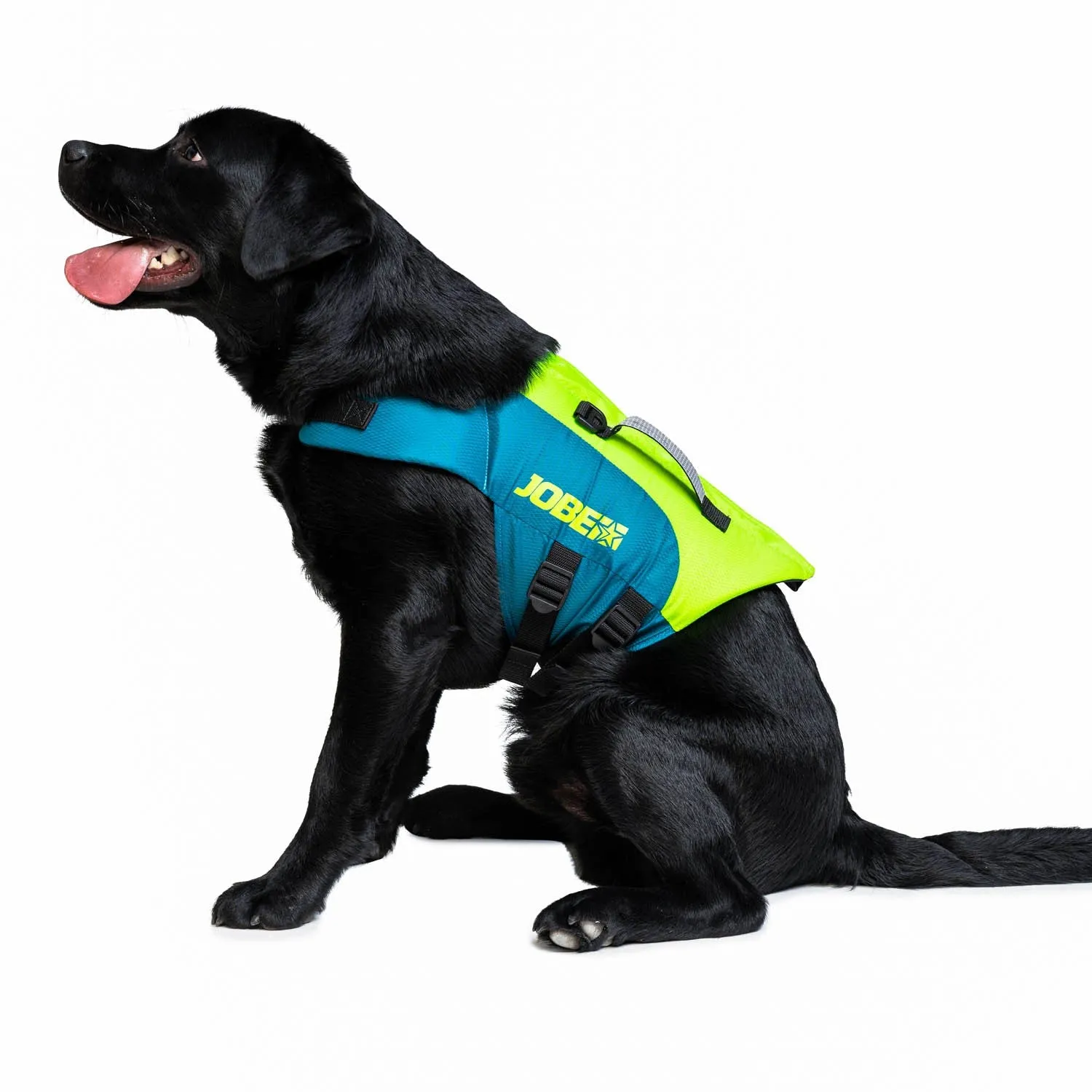 Jobe Pet Vest Buoyancy Aid